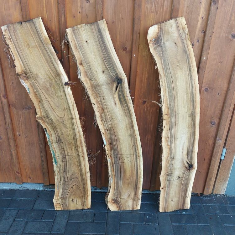 Articoli in legno: Nussbaum Bretter Nr. 5 / 40mm – Nuovo (secondo la descrizione) da Waldkirch venduto da bauprofi87