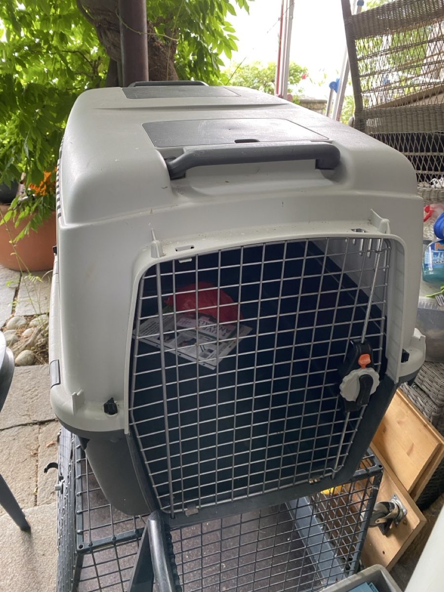 Gabbie, trasporto & Sicurezza: Hundebox Transportbox grau Grösse L  – Usato da Merligen venduto da shalimar64
