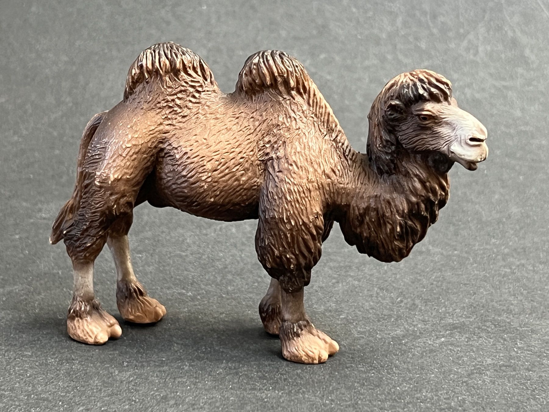 Schleich Statuette: Schleich Trampeltier Kamel Fohlen – Usato da Ennetbaden venduto da mapa05 2