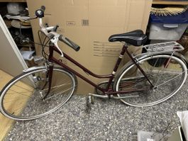 Velo