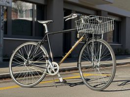 Urban Singlespeed Bike von Allegro inkl. Korb