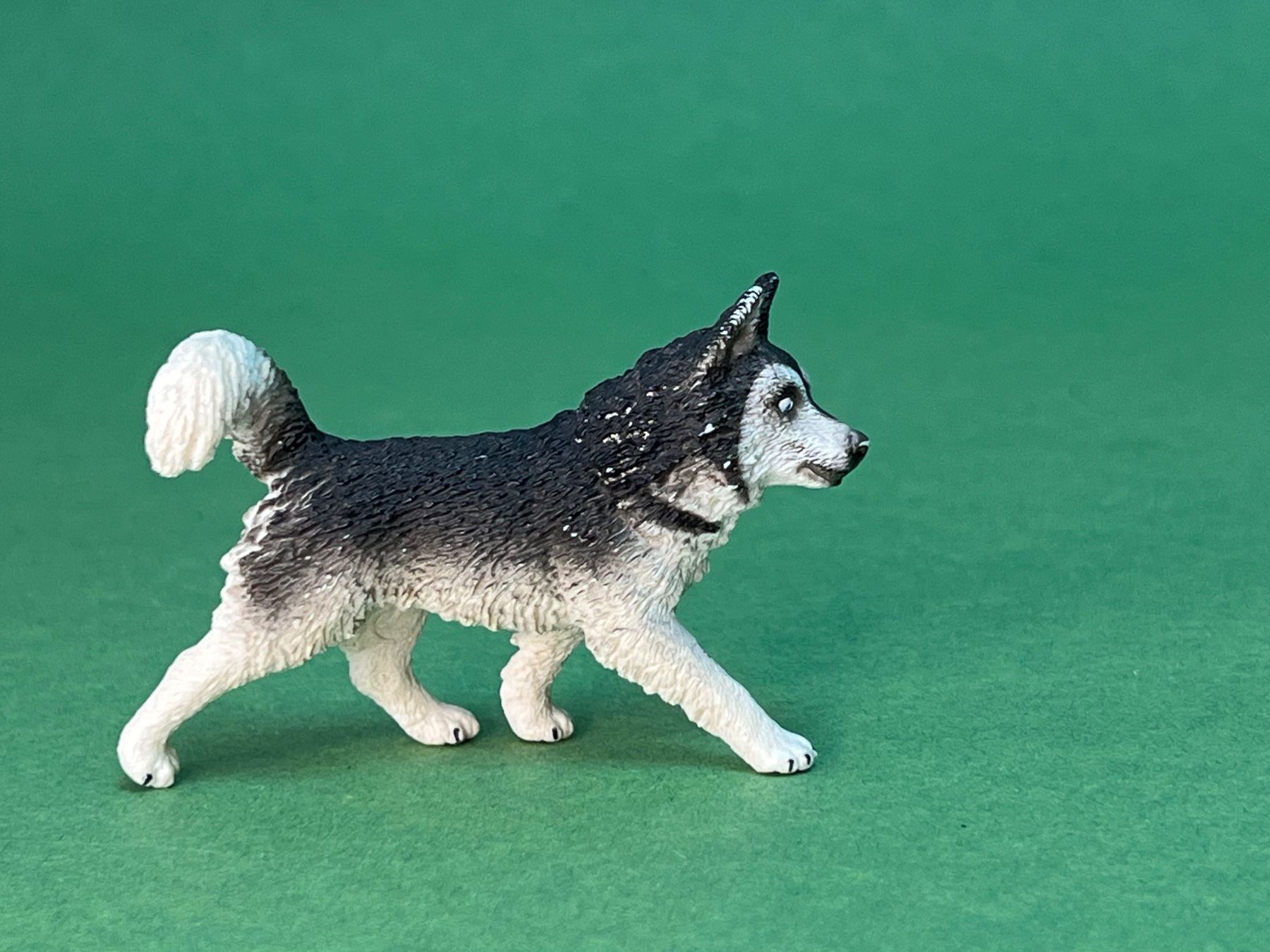 Schleich Statuette: Schleich 16835 Husky Hund – Usato da Ennetbaden venduto da mapa05 1