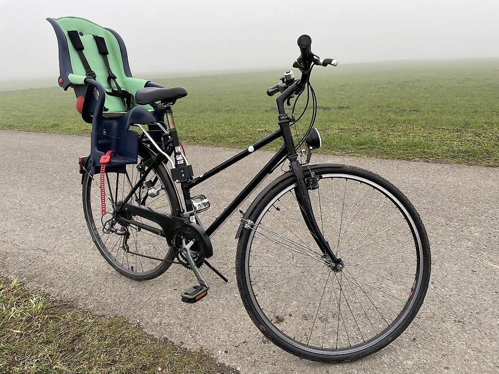 Pezzi di ricambio: Fahrrad Sitzli – Usato da Wangen SZ venduto da flowerfly 1