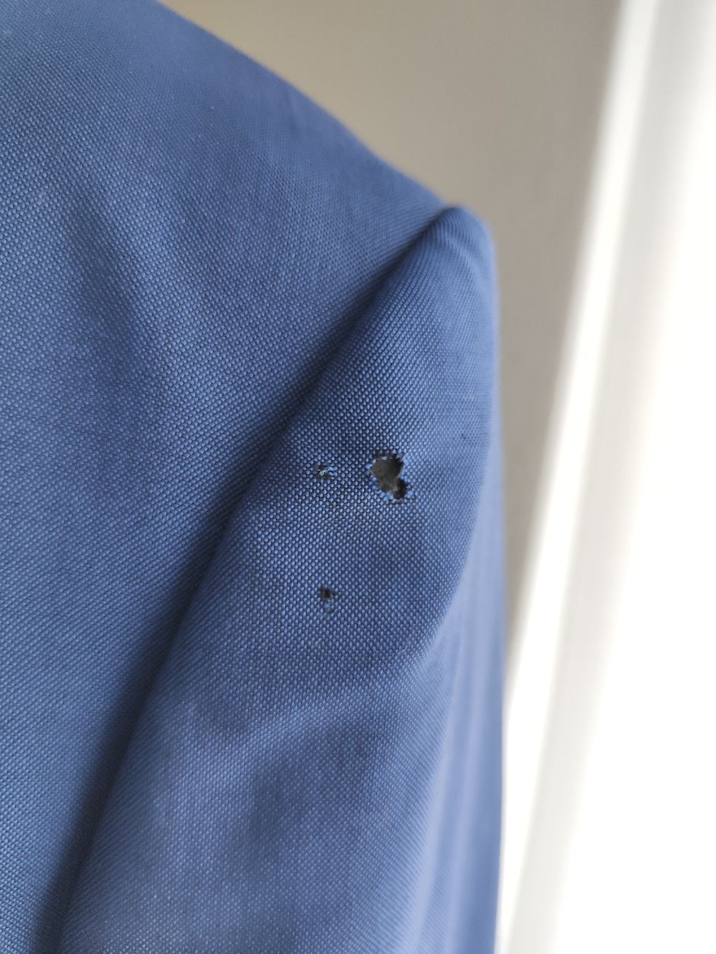 Zegna Giacche: zegna Blazer gr 52 – Difettoso da Langnau am Albis venduto da Judithsebi 5