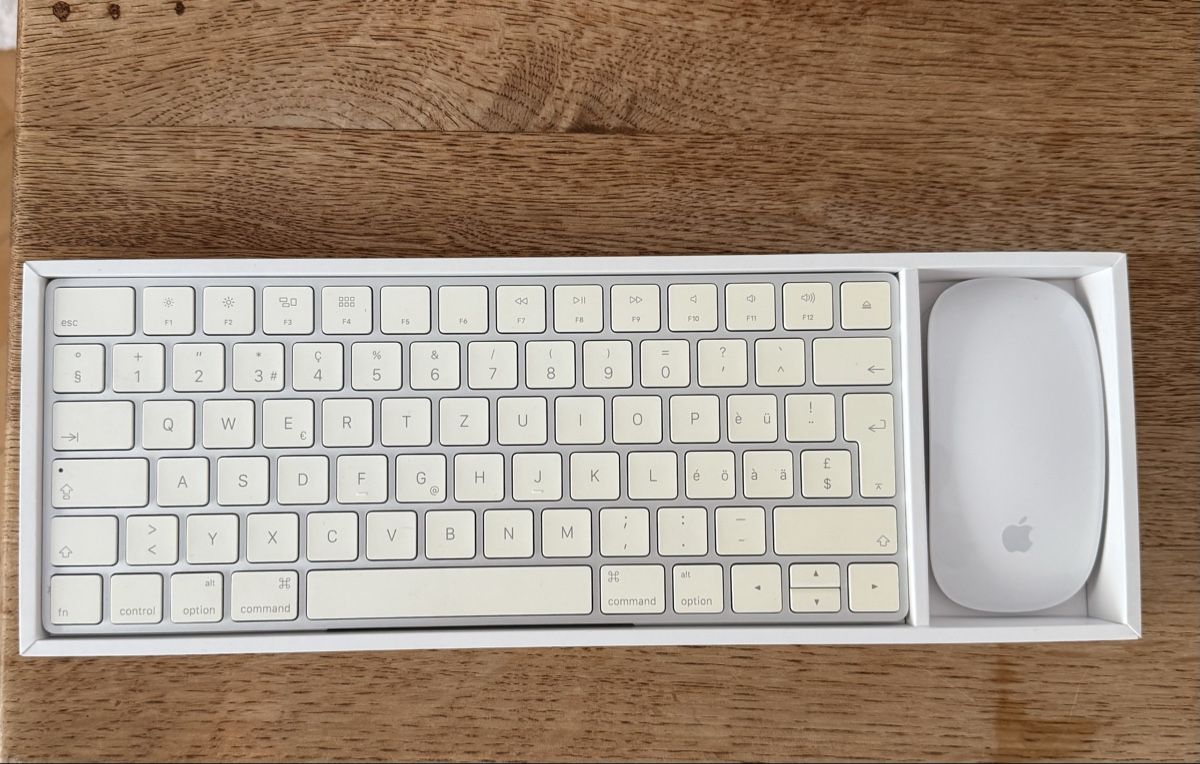 Apple Tastiere: Apple Magic Mouse 2 + Magic Keyboard – Usato da Bern venduto da leo_7xzq