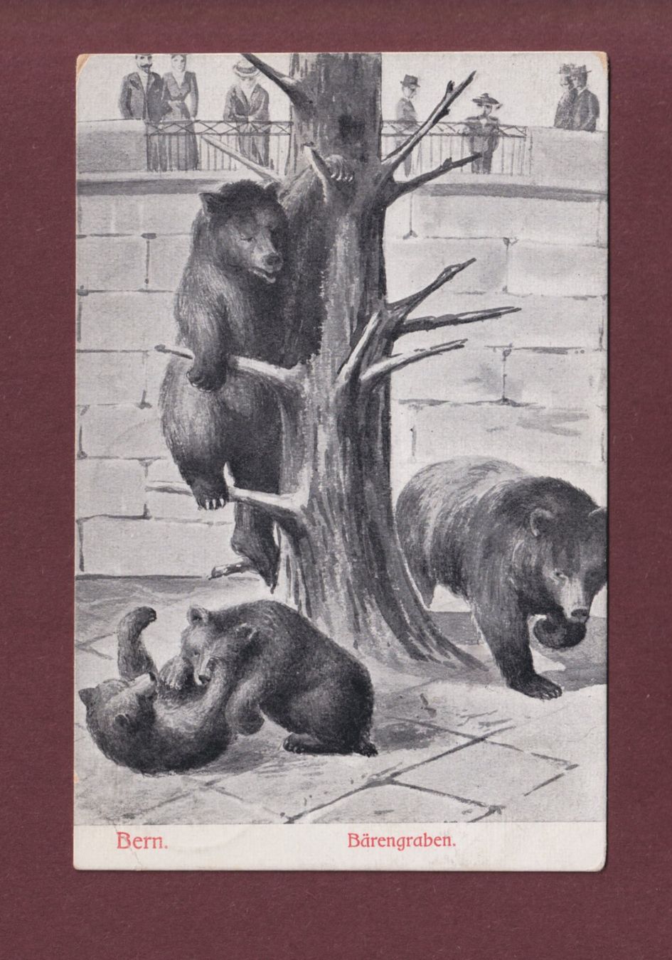 Ansichtskarten: BERN - Bärengraben - 1907 // Eckbug // – Gebraucht aus Pully von nicecards
