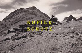Lötschental - Alp Faldum mit Niven /bm