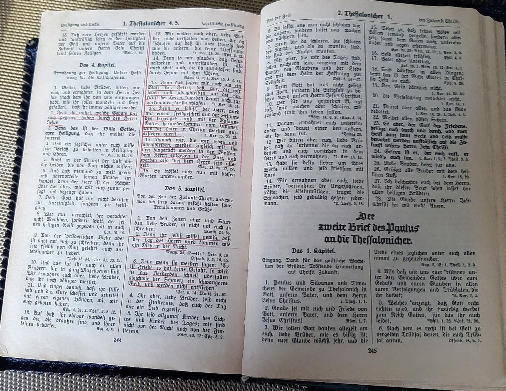 Libri: Bibel Meiringen – Usato da Zürich venduto da Zurich 6