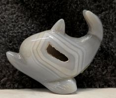 Achat Delfin E 40g