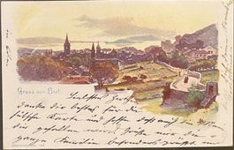 BE 206 Künstler-Litho Gruss a Biel Bienne Stadtpanorama 1898