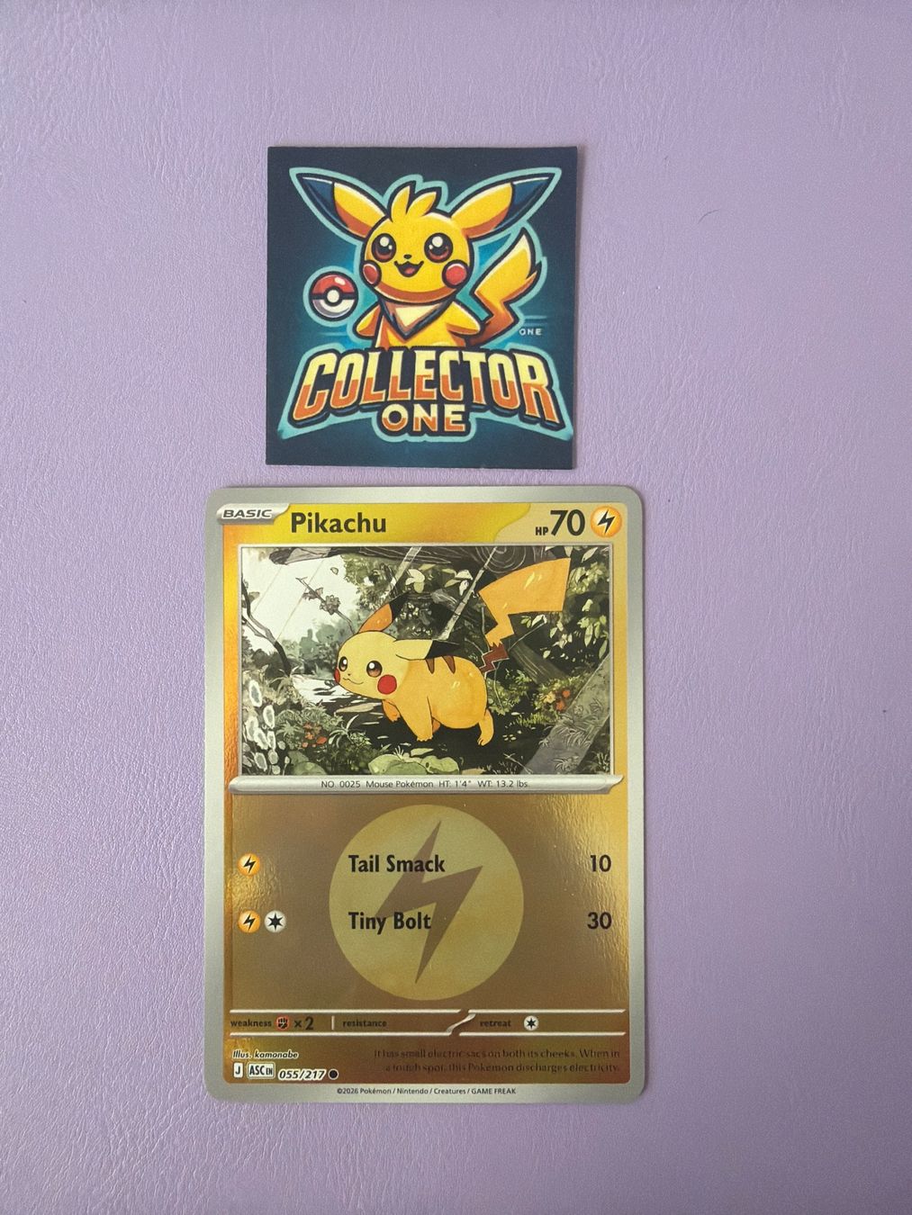 Pokémon Carte collezionabili: Pikachu Holo Fanliebling Top selten – Nuovo (secondo la descrizione) da Lommiswil venduto da CollectorOne