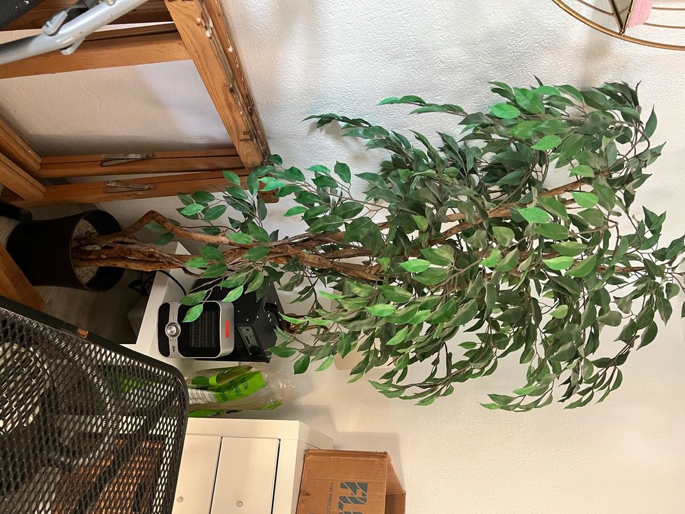 Hairui Knstlicher Ficus Seidenbaum Mit 140 LED Lichtern 1,2M  Beleuchtete  Zimmerpflanze Fr Wohnzimmer & Deko