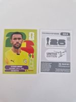 Panini Sticker SEN3