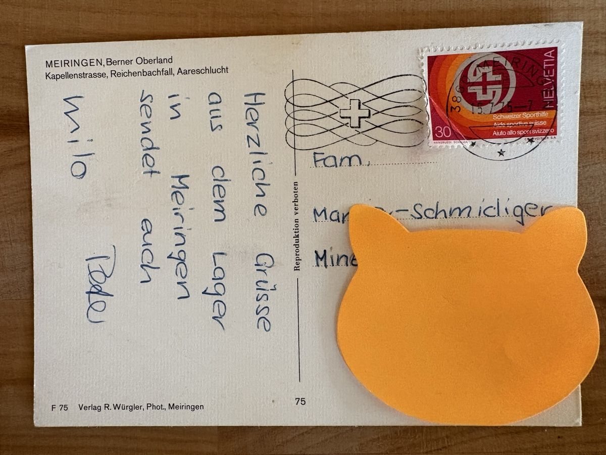 Cartoline postali: AK von Meiringen – Usato da Rümlang venduto da Kartenpost1 1