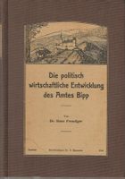 Die politisch wirtschaftliche Entwicklung des Amtes Bipp