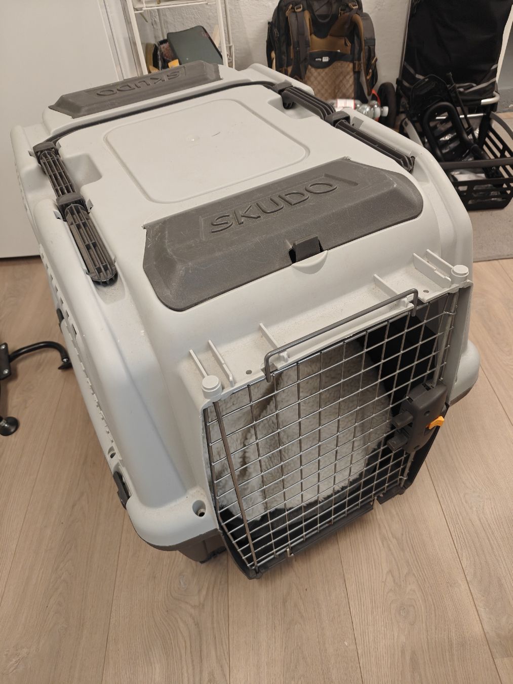 Cucce & Letti: Hundebox Skudo Nr. 5 – Usato da Langendorf venduto da naples888