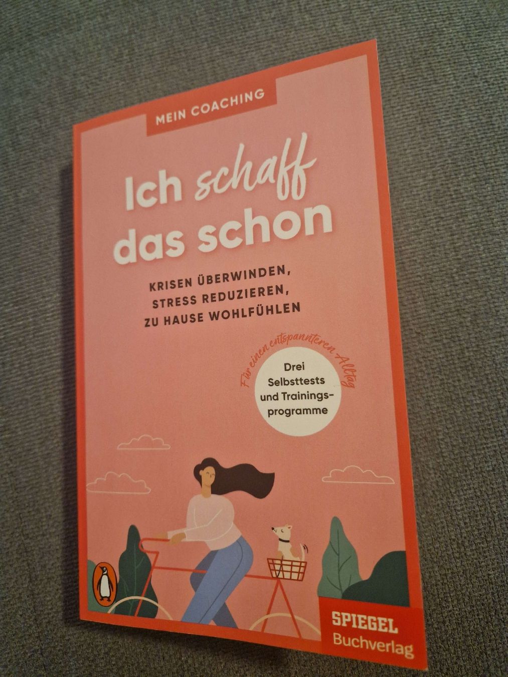Libri: Buch "Ich schaff das schon" – Usato da Zürich venduto da Ischhaltso16