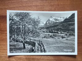 AK  ca.1940 Seelisberg  ungelaufen (G1843)