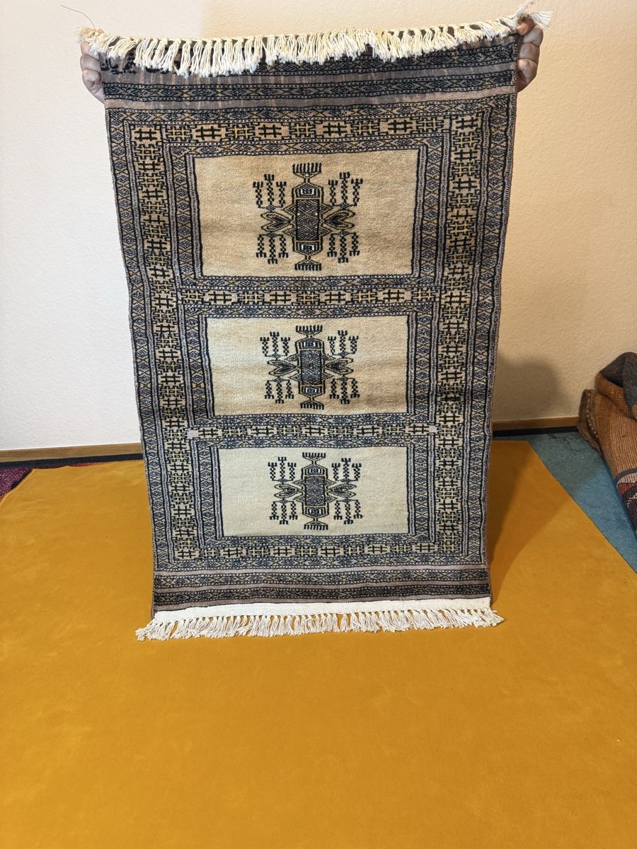 Tappeti: persischer Teppich (Signatur) – Usato da Chur venduto da Mohammad.miga