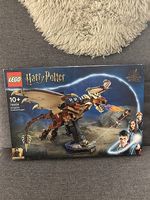 Lego Harry Potter Hungarian Horntail Dragon 76406