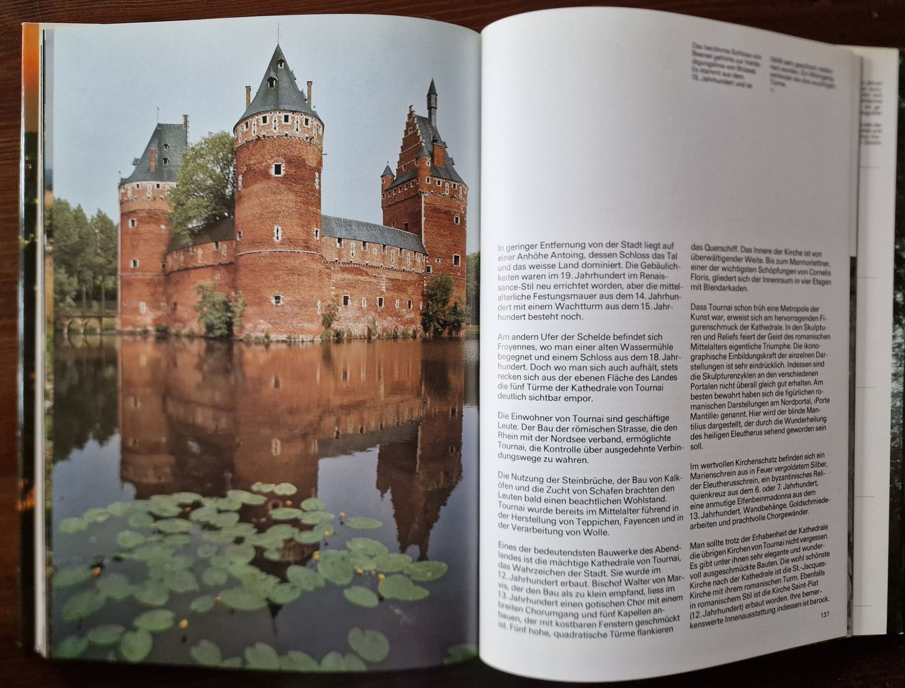 Libri: Belgien und Luxemburg – Usato da Röthenbach i. E. venduto da Heureka5 2