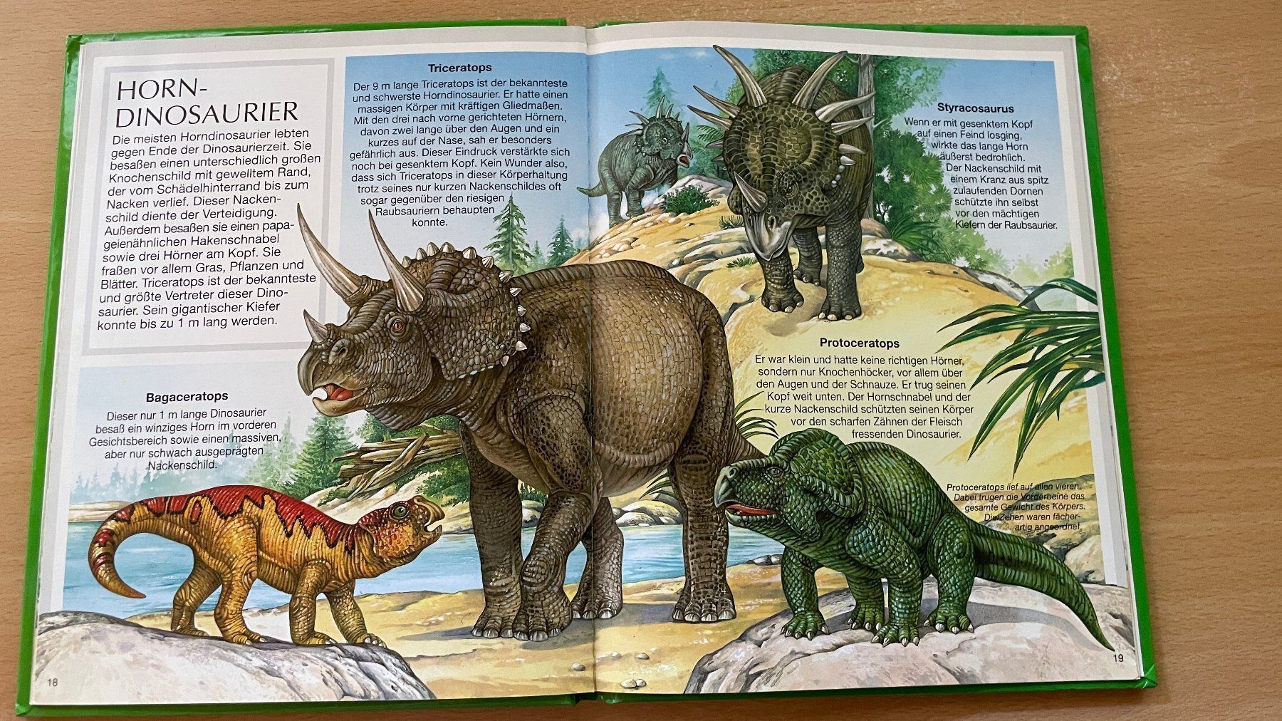 Libri: Dinosaurier – Usato da Glattfelden venduto da cybermaxx 6
