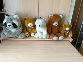 7x Plüschtiere in top zustand/3x Braunbären/Eisbär/Waschbär