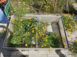 Frühbeet aus Aluminium mit Hohlkammerplatten gebraucht