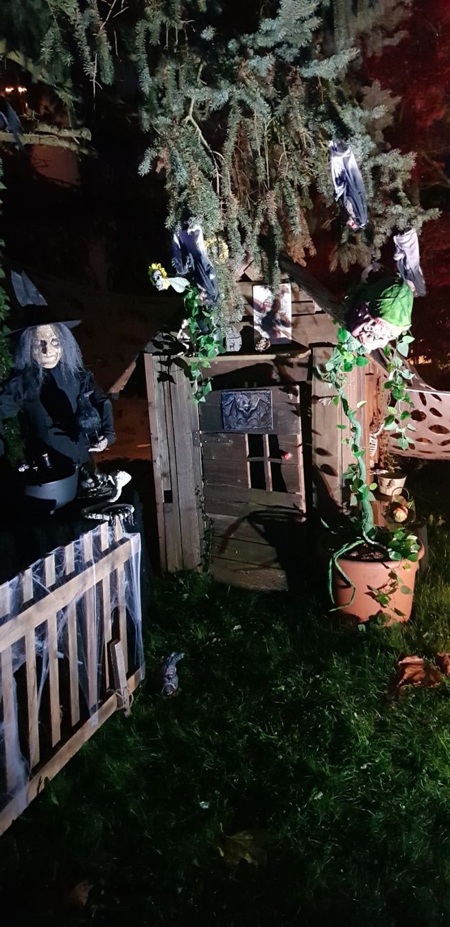 Alle Dekorationen: HALLOWEEN/ HORROR FLEISCHFRESSENDE PFLANZE – Neu und originalverpackt aus Root von LifestyleAccessoires 2