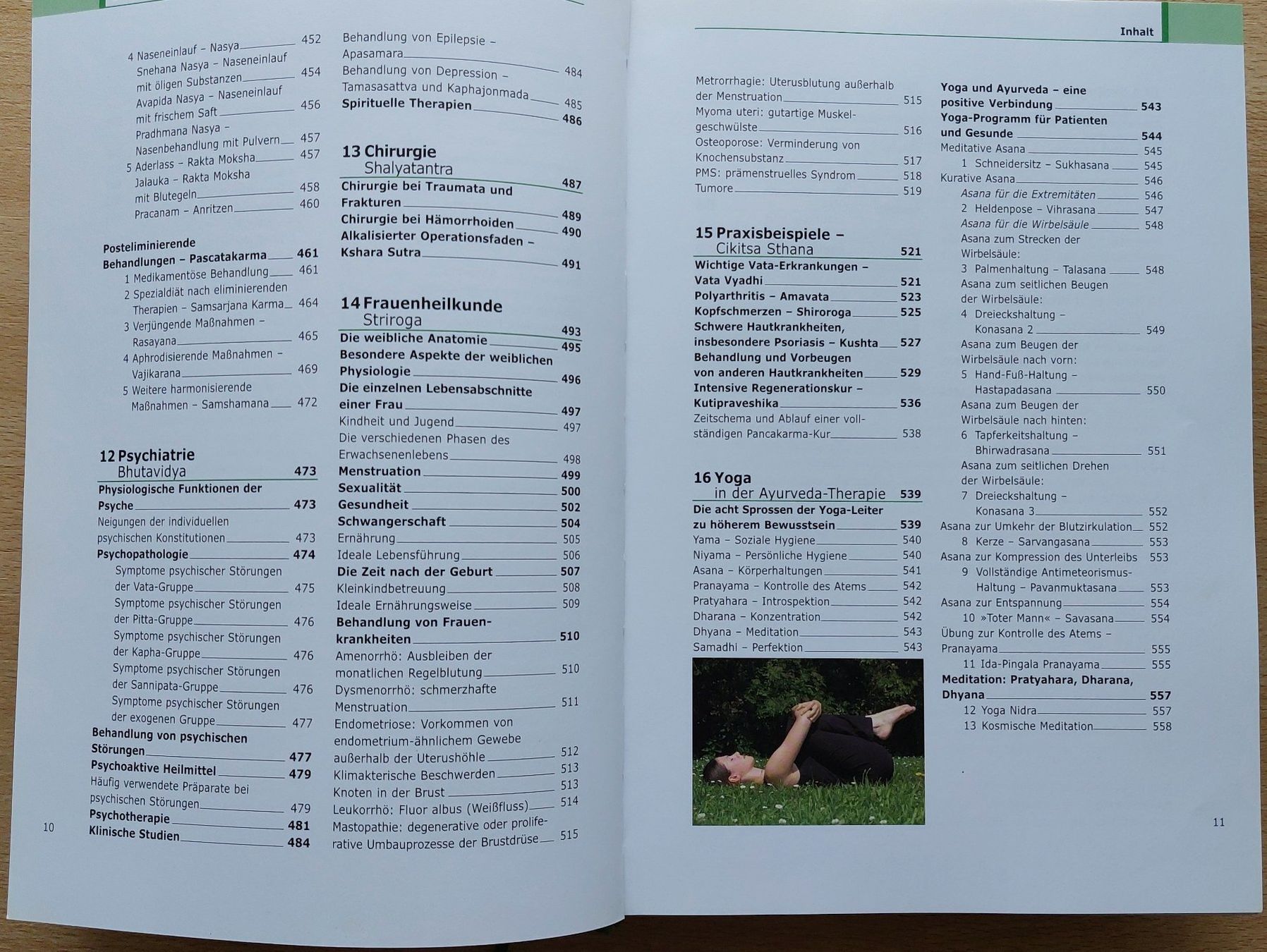 Libri: Das neue Ayurveda Praxis Handbuch – Usato da Obfelden venduto da ele_2r5s 5