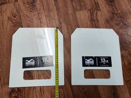 Gewichsplatten Phantom Athletics 6kg