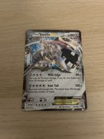 Steelix EX 67/114