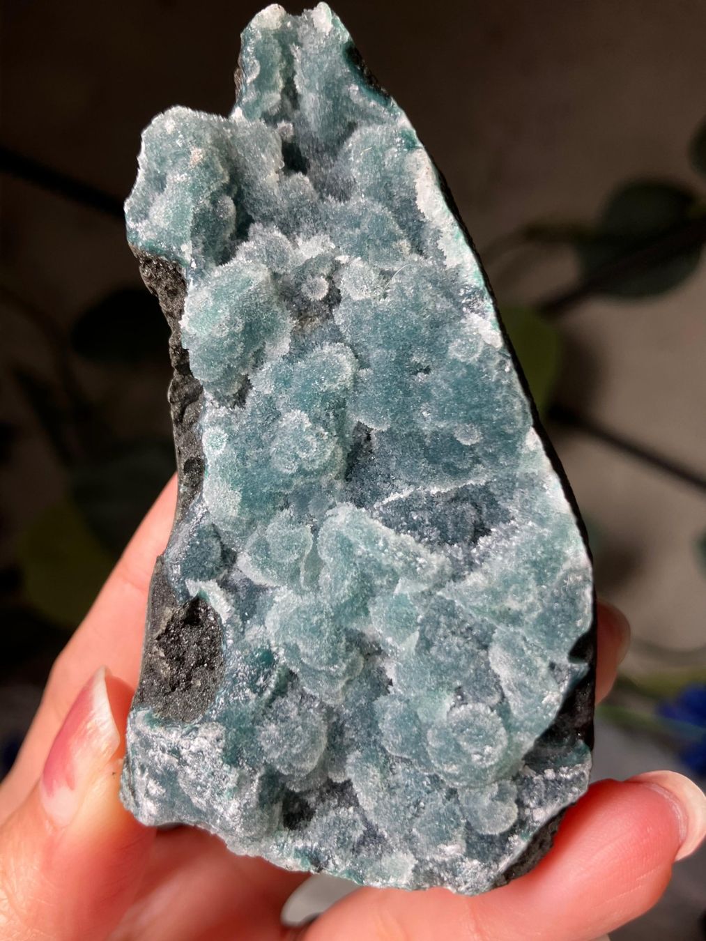 Minerali & Pietre curative: Grüner Chalcedon-Stalaktit – Nuovo (secondo la descrizione) da Neuheim venduto da m.hald
