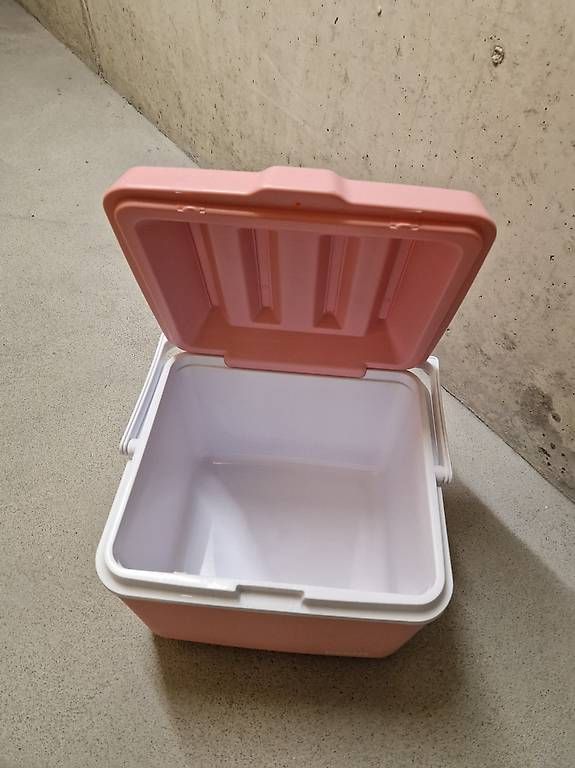 Frigoriferi & Refrigeratori: Kühlbox pink, 25l – Usato da Kehrsatz venduto da McYuli 2