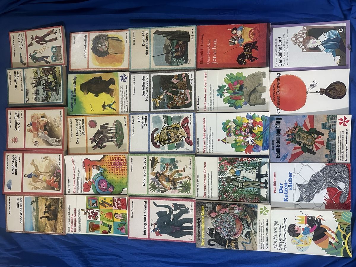 Libri: dtv Junior Taschenbücher, verschiedene Titel – Usato da Uster venduto da bek_v2ct