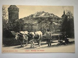 LUZERN - Ochsengespann - Musegg und Pilatus  Ansichtskarte