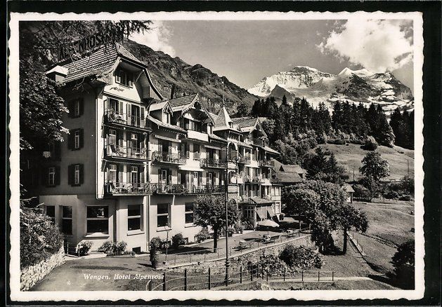 Cartoline postali: AK Wengen, Hotel Alpenrose – Usato da Berlin venduto da bartko-reher