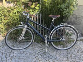 Schindlhauer Frida VIII