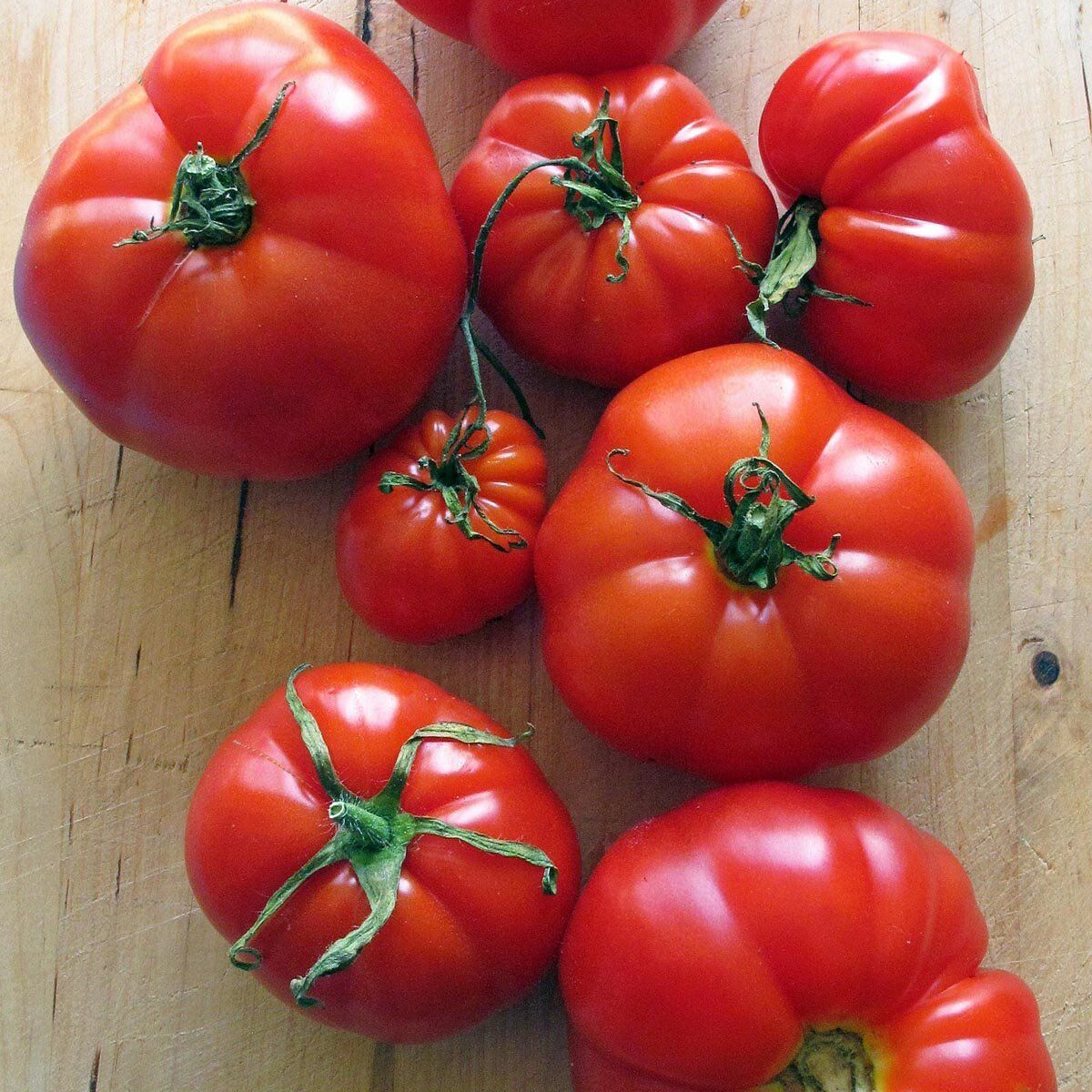 Piante & sementi: TOMATE Marmande / 10 Samen – Nuovo (secondo la descrizione) da Hinteregg venduto da ERFOLG78 1
