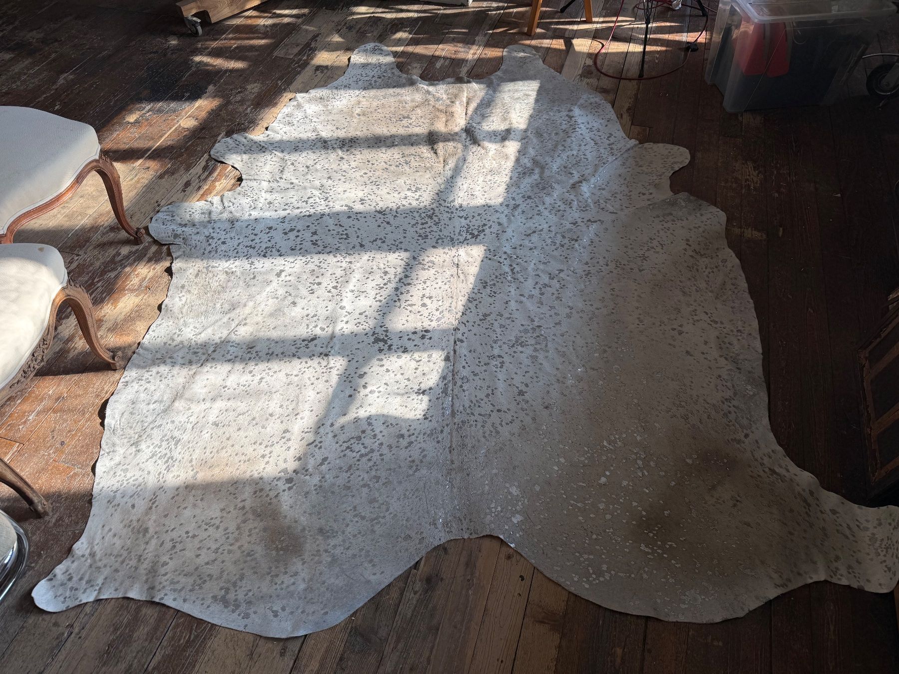 Teppiche: Rinderfell de Luxe Creme-Silber XXL – Gebraucht aus Bretzwil von neuguinea 3