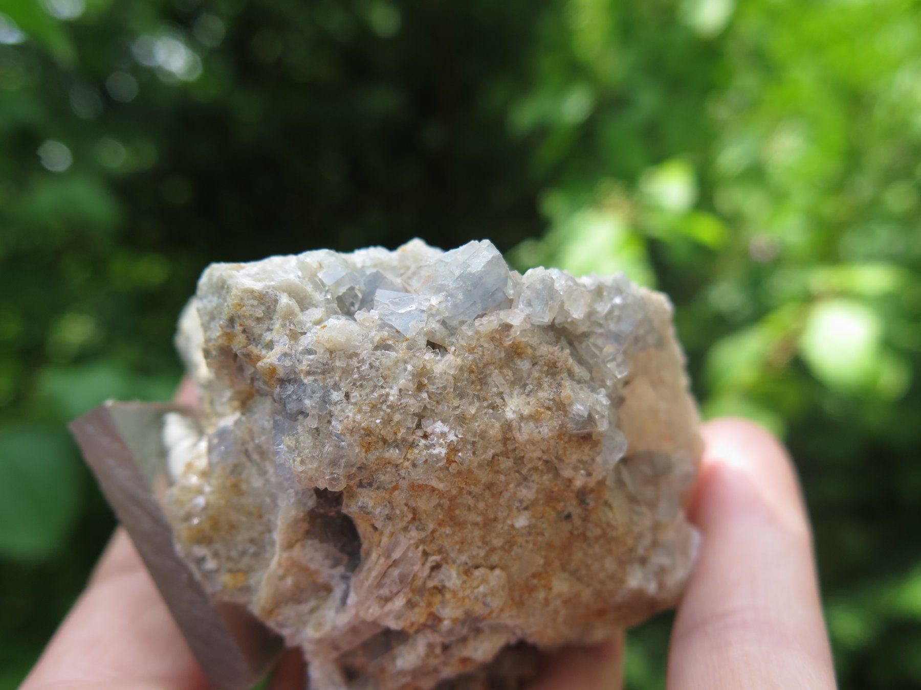 Minerali & Pietre curative: Fluorit auf Quarz von USA – Usato da Schaffhausen venduto da Yamakana51L8736OQ8 5
