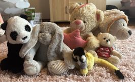 Stofftiere 🧸 6 Stück