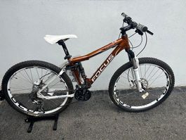 Focus Donna, Damenfahrrad NEU