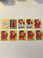 PANINI WM 2026 verschiedene Bilder Schweiz