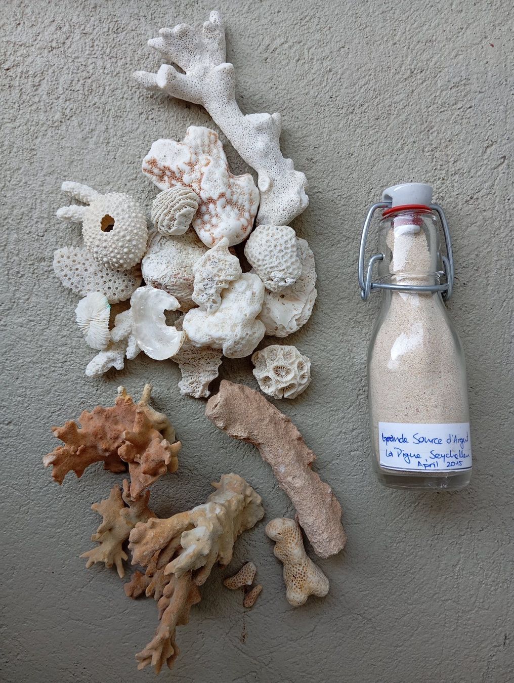 Fossili: Indischer Ozean "Sand & Korallen" – Nuovo e nell'imballaggio originale da Zeneggen venduto da shemesh_ 2