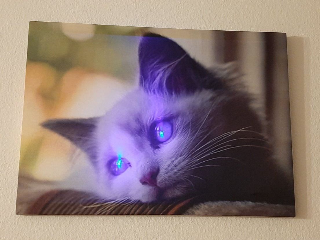 Foto & Immagini: LED Kunstbild Die weisse Katze – Nuovo e nell'imballaggio originale da Kilchberg ZH venduto da ruedi34 1