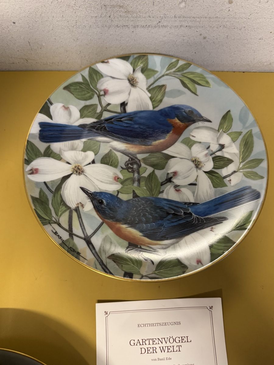 Assiettes: Teller Gartenvoegel 7 stk.  – D'occasion à Schlieren par Freundlich02 7
