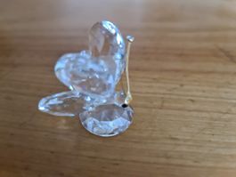 Swarovski Figur Schmetterling Originalverpackt 
