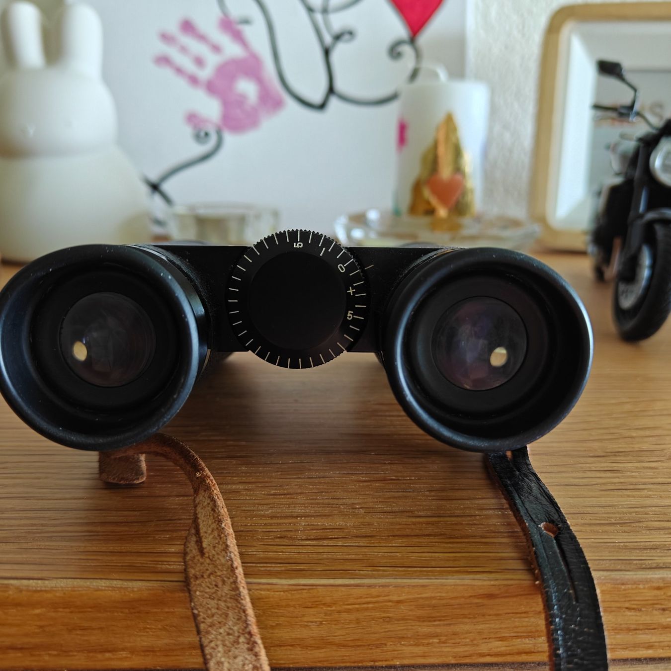 Zeiss Binocoli: Carl Zeiss Dialyt 8x30b Feldstecher – Usato da Richterswil venduto da Tailgate 2