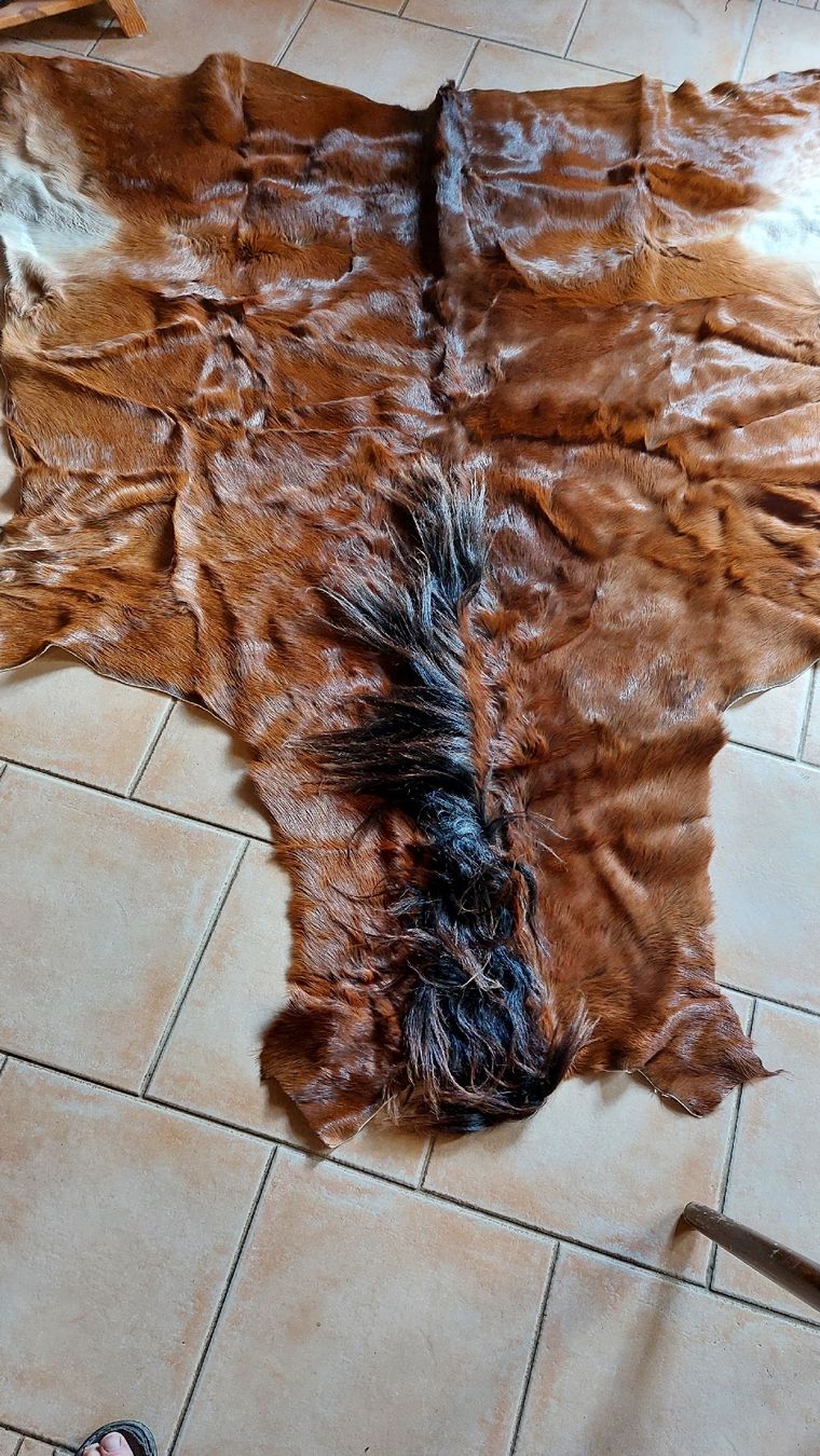 Tapis: Fohlenfell – Neuf (Voir description) à Schmidigen-Mühleweg par Ka22 1